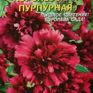 

Шток-роза Королевская Пурпурная 0,1 г, Плазменные семена