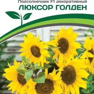 Подсолнечник Люксор Голден F1 однолетний декоративный 10 шт Семена Партнер 199₽