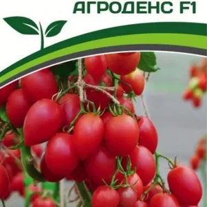 

Томат Агроденс F1 0,05 г. Семена Партнер
