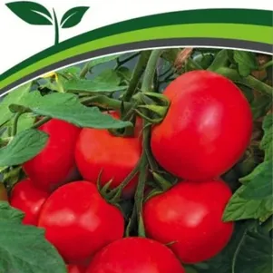 

Томат Лимеренс F1 0,05 г, Семена Партнер