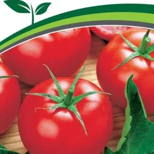 

Томат Прекрасная Леди F1 10 шт. Семена Партнер