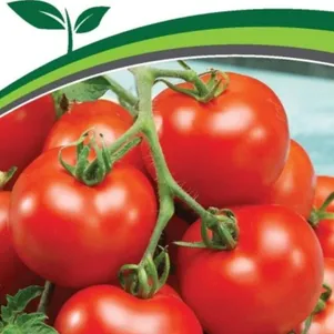 

Томат Поэт F1 10 шт. Семена Партнер