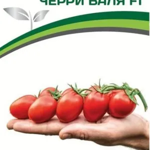 

Томат Черри Валя F1 5 шт. Семена Партнер