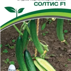 

Огурец Солтис F1 5 шт. Семена Партнер