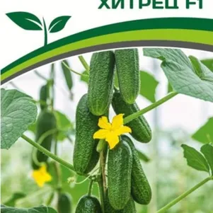 

Огурец Хитрец F1 5 шт. Семена Партнер