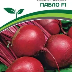

Свекла Пабло F1 столовая 1 г, Семена Партнер
