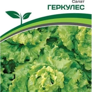 

Салат Геркулес листовой 0,5 г, Семена Партнер