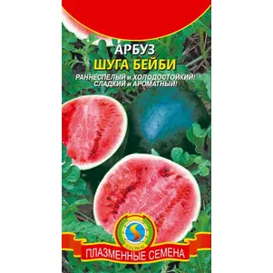 Арбуз Шуга Бейби 1 г Плазменные семена 26₽