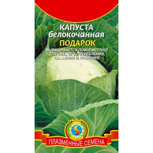 

Капуста Подарок белокочанная 0,5 г, Плазменные семена