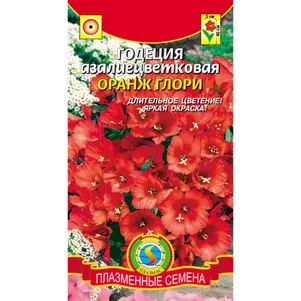 

Годеция Оранж Глори азалиецветковая 0,2 г, Плазменные семена
