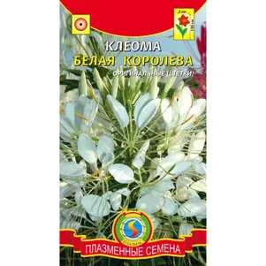 

Клеома Белая Королева 0,2г, Плазменные семена