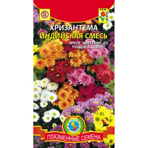 Хризантема Смесь индийская 20 шт Плазменные семена 31₽