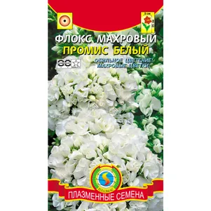 

Флокс Промис Белый махровый 5 шт. Плазменные семена