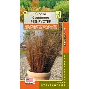 

Осока Ред Рустер Бушанана 3 мультидрж в пробирке, Плазменные семена