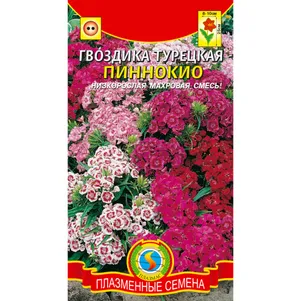 

Гвоздика турецкая Пиннокио 0,2 г, Плазменные семена