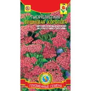 

Тысячелистник Вишневая Королева 0,05 г, Плазменные семена