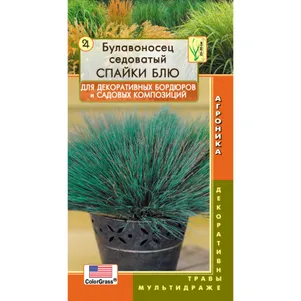 

Булавоносец Спайки Блю седоватый 3 мультидрж в пробирке, Плазменные семена