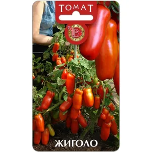

Томат Жиголо ЦП 12 штук, Семена Биотехника