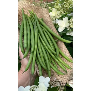 

Фасоль Чудо лентяя ц/п Уральский дачник, Семена Марс