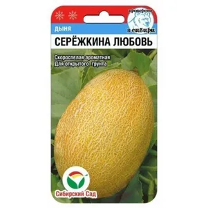 Дыня Сережкина любовь 5 шт цп Семена Сибирский сад 34₽