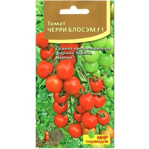

Томат Черри Блосэм F1 ц/п 5шт, Семена Мир Садоводов