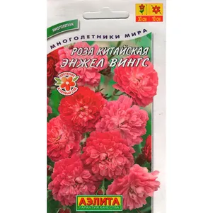 

Роза Энжел Вингс китайская ц/п 10 шт, Семена Аэлита