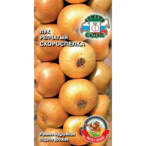 Лук Скороспелка репчатый цп Семена Седек 40₽