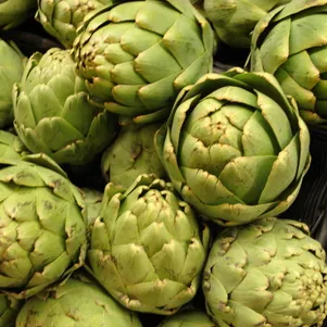 

Артишок Красавец ц/п 0,5 г. Семена Гавриш