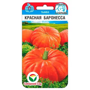 Тыква Красная баронесса 5 шт Семена Сибирский Сад 37₽
