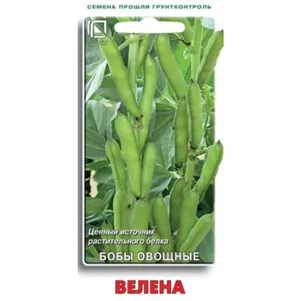 

Бобы Велена 7 шт, Семена Поиск