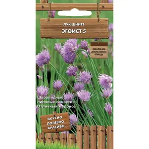 

Лук Шнитт Эгоист 5 0,25 г, Семена Поиск