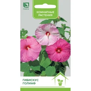 

Гибискус Голиаф 0,1 г, Семена Поиск