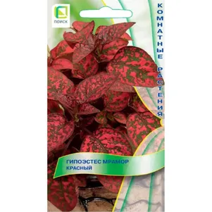 

Гипоэстес Мрамор Красный 7 шт, Семена Поиск