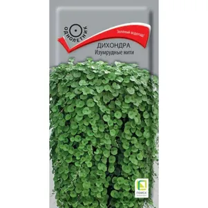 

Дихондра Изумрудные нити 5 шт, Семена Поиск