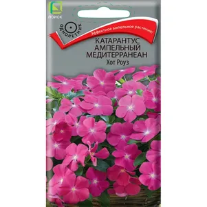 

Катарантус ампельный Медитерранеан Хот Роуз 10 шт, Семена Поиск