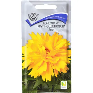 

Кореопсис Затея крупноцветковый 0,05 г, Семена Поиск