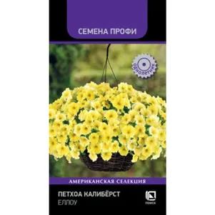 

Петхоа Калиберст Еллоу 5 шт, Семена Поиск