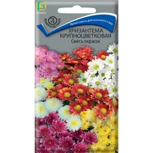 Хризантема Смесь окрасок крупноцветковая 005 г Семена Поиск 80₽