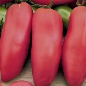 

Томат Банан Розовый 10 сем, Частная коллекция семян