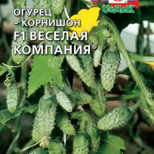 

Огурец Веселая Компания F1, Семена Седек