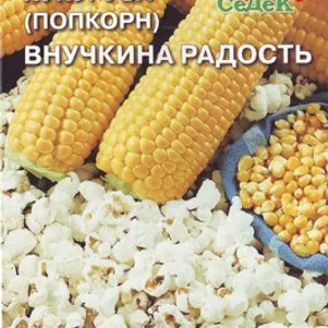 Кукуруза Внучкина Радость 5 г Семена Седек 40₽
