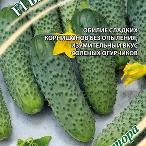 

Огурец Быстрый старт F1 10 шт, Семена Гавриш