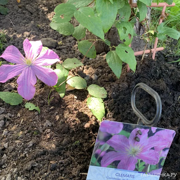 превью изображения отзыва