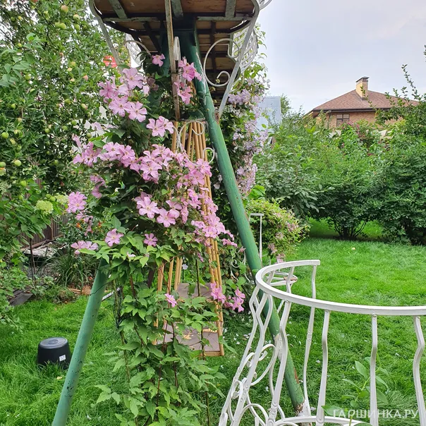 превью изображения отзыва