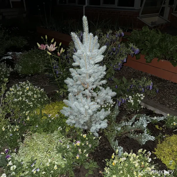 превью изображения отзыва