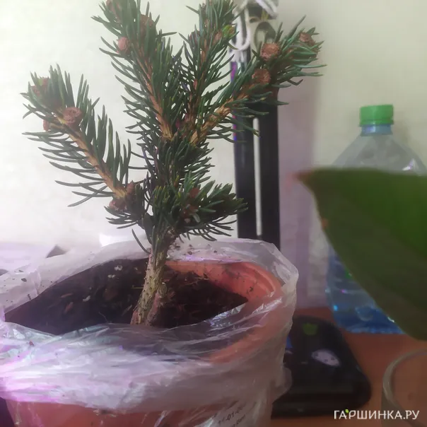 превью изображения отзыва