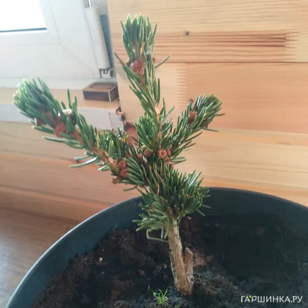 превью изображения отзыва