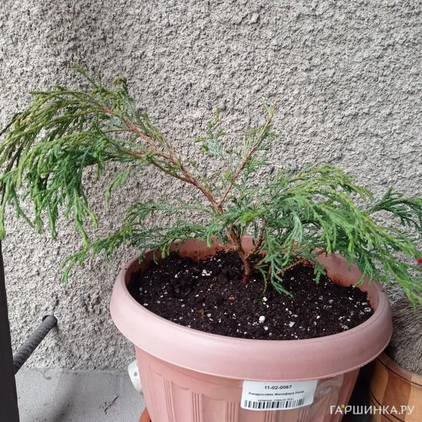 превью изображения отзыва