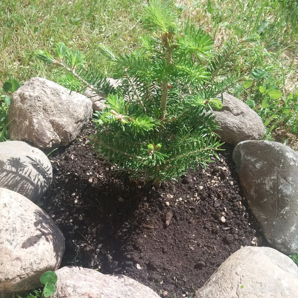 превью изображения отзыва