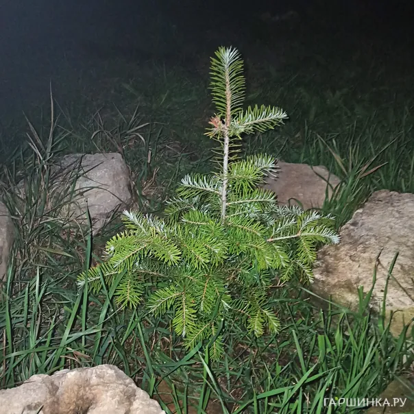 превью изображения отзыва